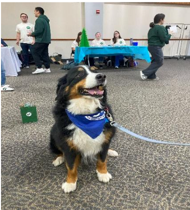 Bernese Mountain dog Bailey was one of the therapy dogs from Pets on Wheels.